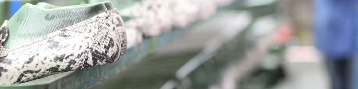 pascucci show factory